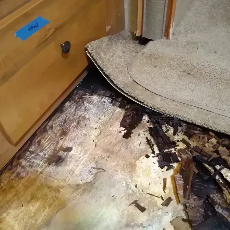 Wood Floor Water Damage in Stillwater County, MT